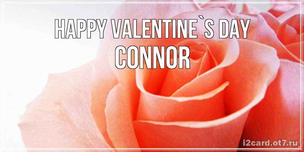 Greetings card с именем, Connor Happy Valentine`s Day открытка на день Святого Валентина с розовой розой Greetings with text for free download 